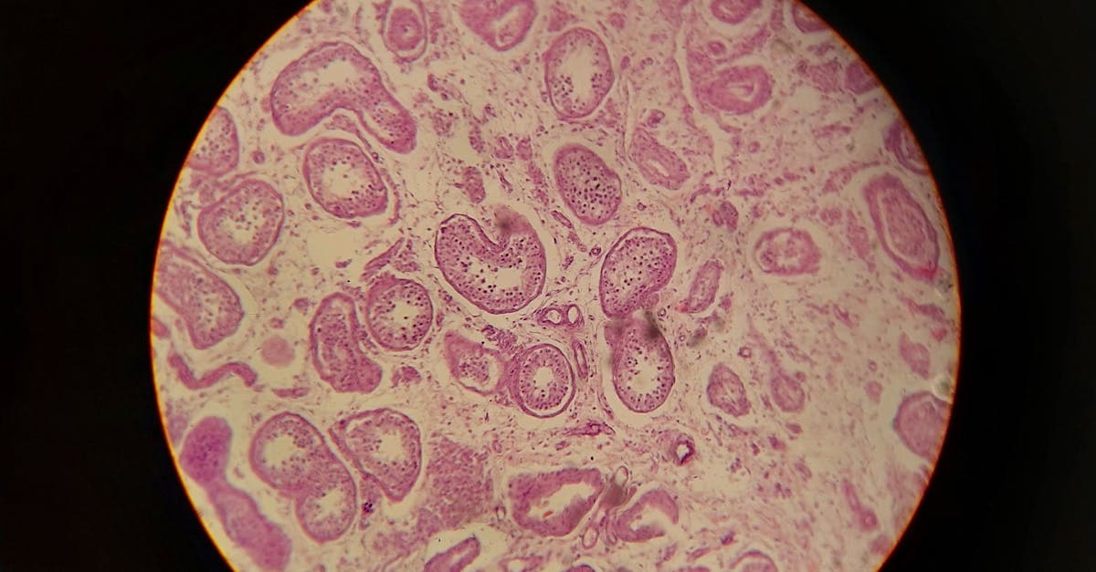 بخش سیتولوژی