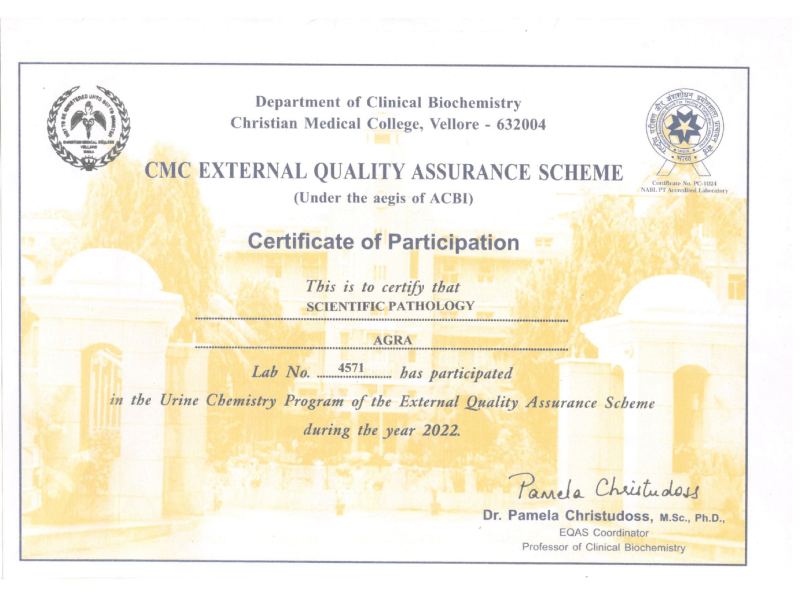 گواهینامه ۵